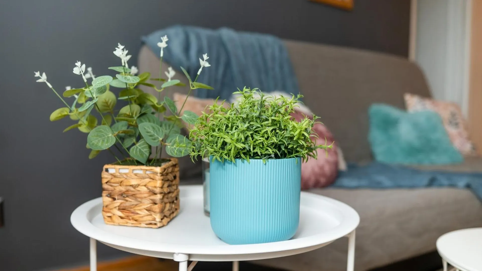 Zielinskiego Grey Apartment 브로츠와프 폴란드