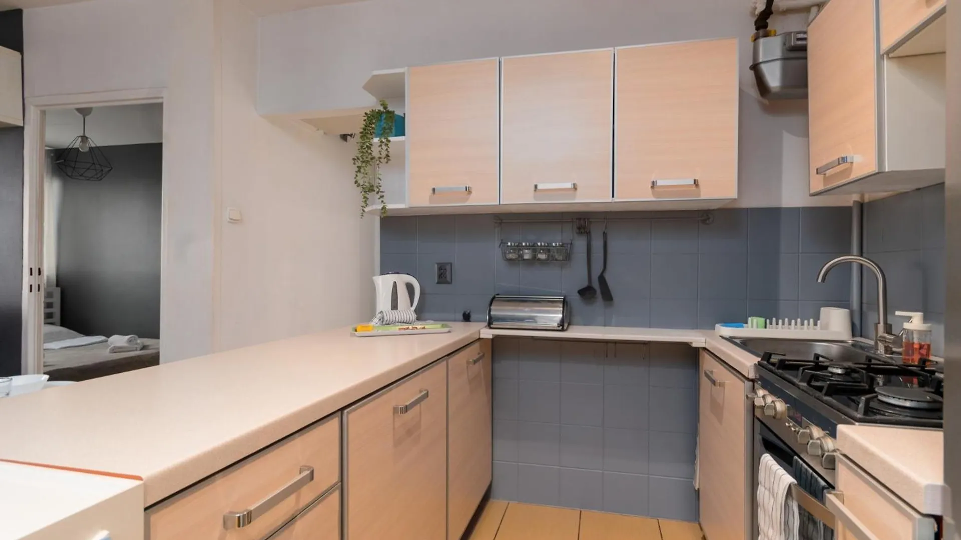 Zielinskiego Grey Apartment 브로츠와프